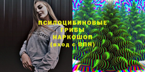 спиды Вязьма